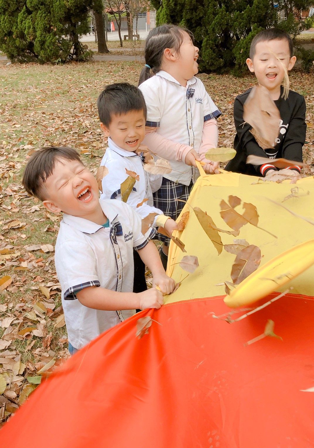 115學年度新竹縣私立愛丁堡幼兒園(準公共)招生簡章